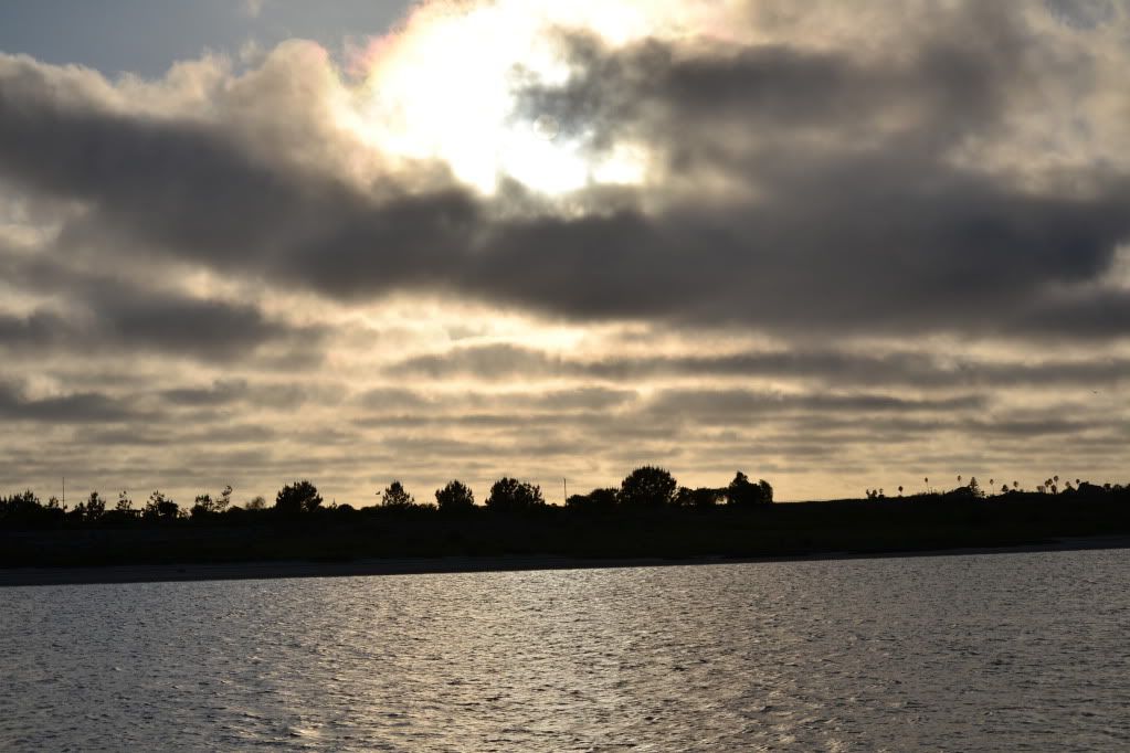 DSC_0019.jpg