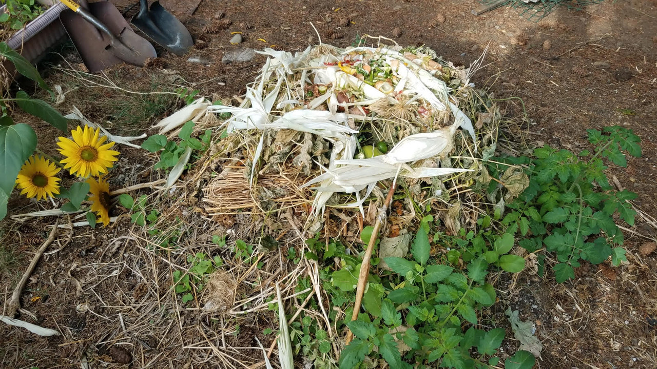 compost.jpg