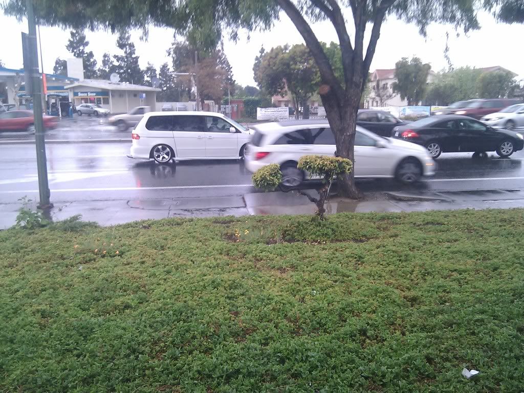 IMAG0076.jpg