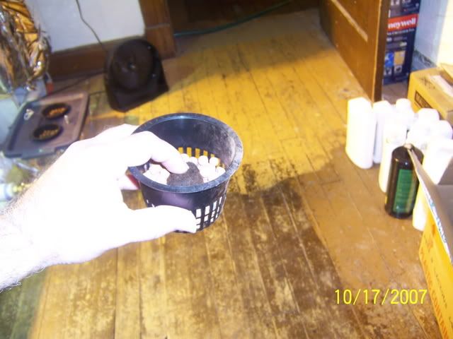 000_1699.jpg