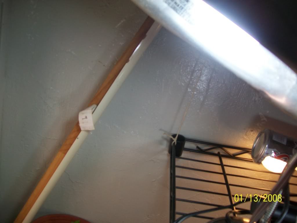 100_0643.jpg
