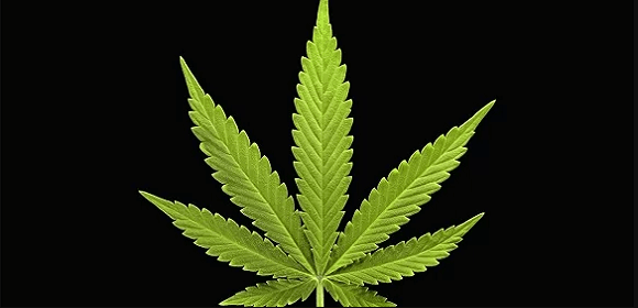 www.marijuana-guides.com