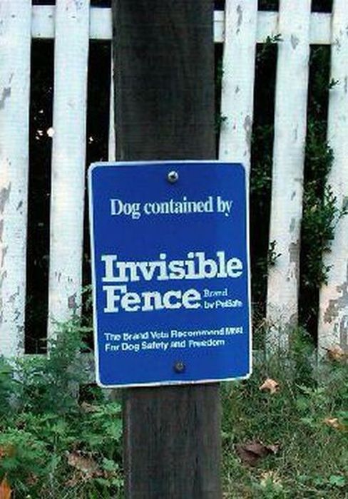 acid_picdump_25.jpg