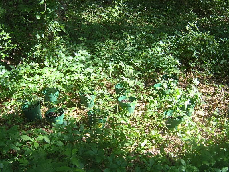 DCAM0043.jpg