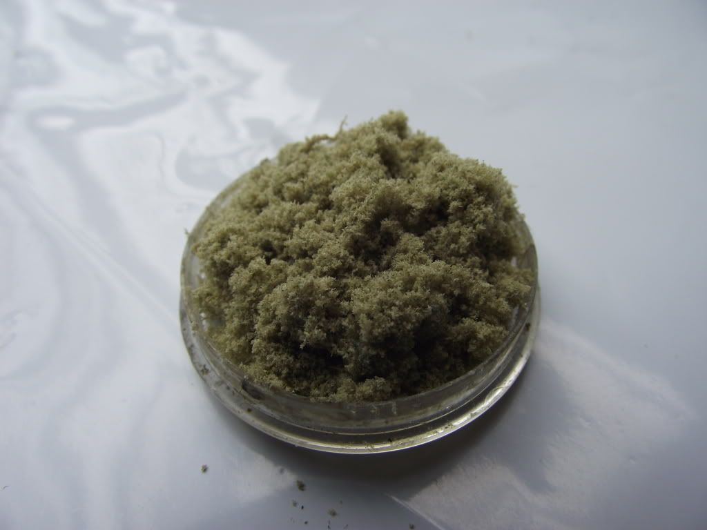 DSCF2105.jpg