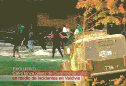 tumblr_m33j8mpXd51r24v95o1_r1_250.gif