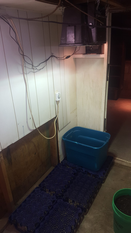 20180803_145302.jpg
