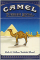 camel-turkish-royal-box-king.jpg
