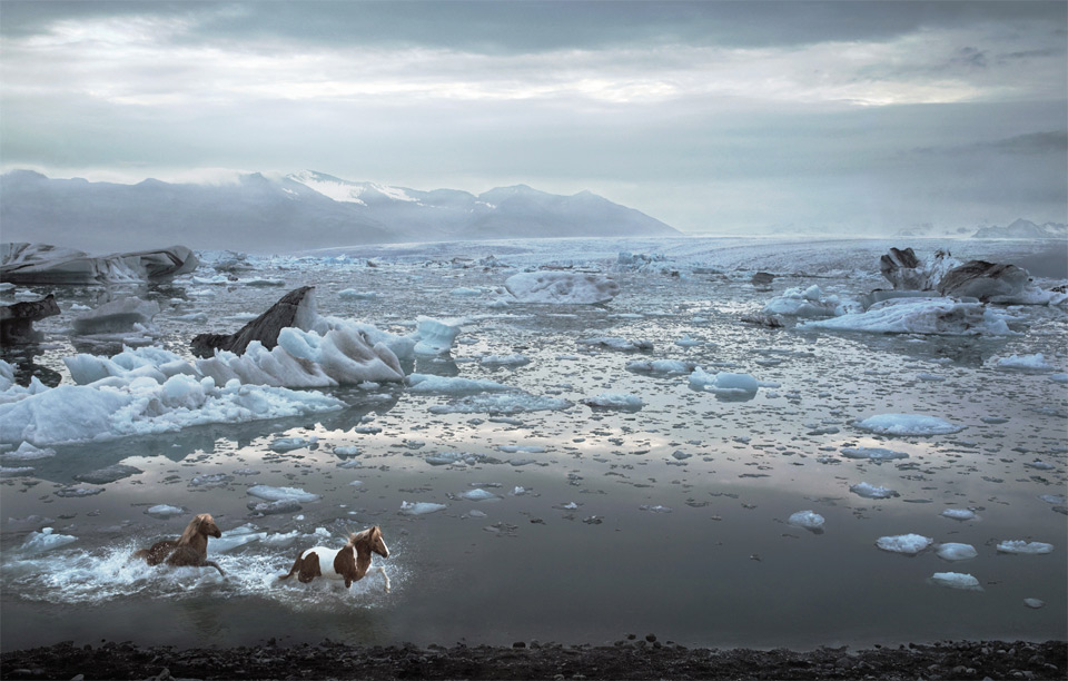 horses-of-iceland-lagoon.jpg