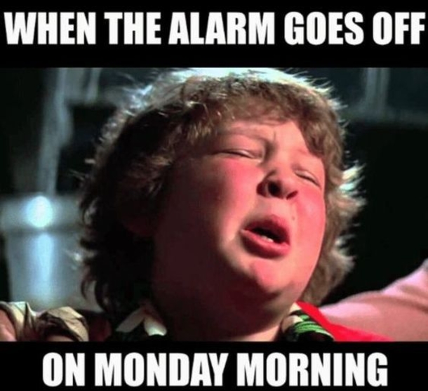 10-Funny-Monday-Memes-For-The-New-Week-48641-8.jpg