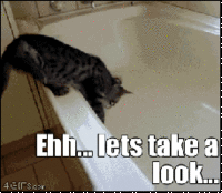 924.gif