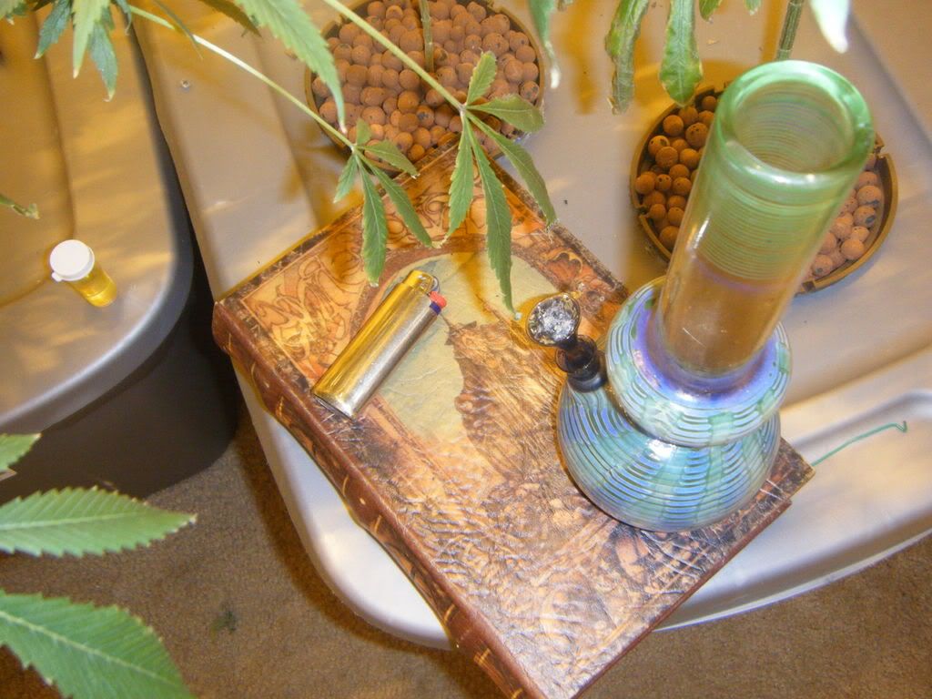 2008_0818Almost0018.jpg