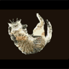 avatar_1393.gif