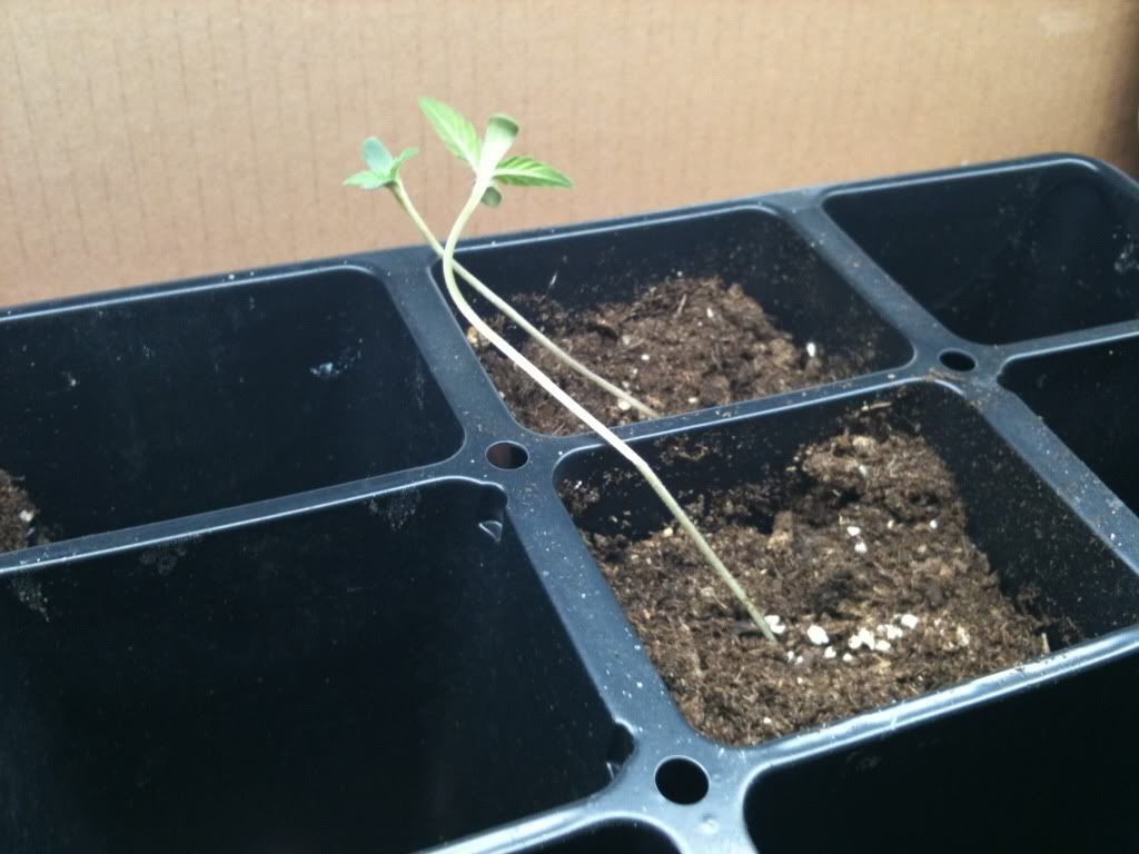 photo-2.jpg