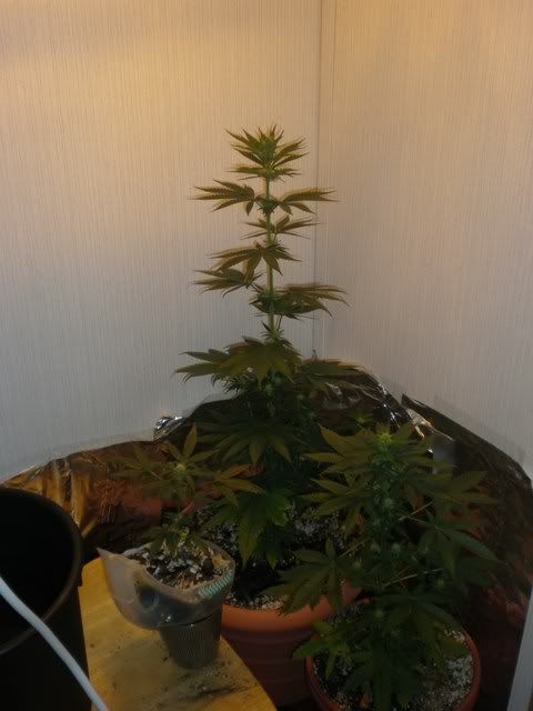 PC030058.jpg