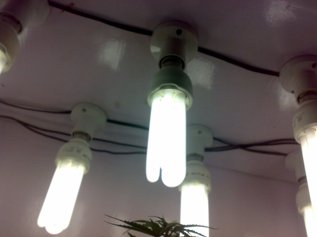 03012009320.jpg