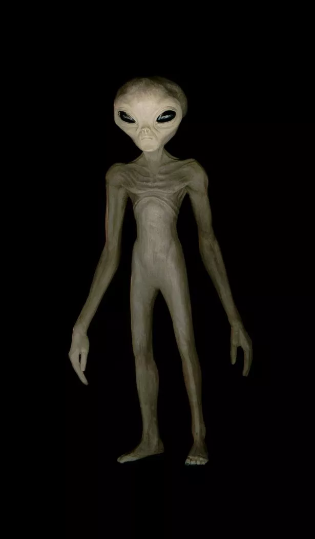Grey-Alien.jpg