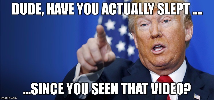 1segvh.jpg