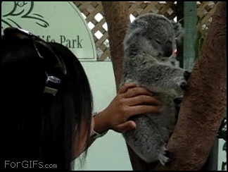 gif_07.gif