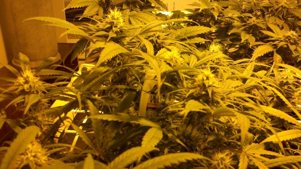 2012-02-03_19-19-42_755.jpg