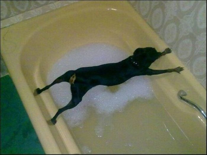 acid_picdump_58.jpg