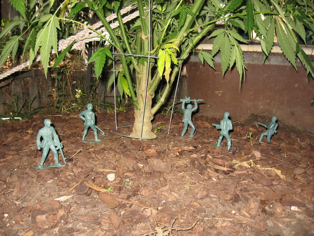 IMG_1694.jpg