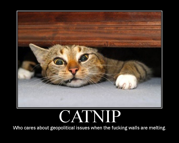catnip_walls_melting.jpg