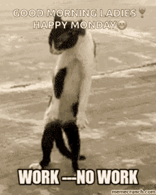 work-no-work.gif