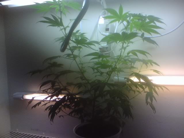 0806081843.jpg