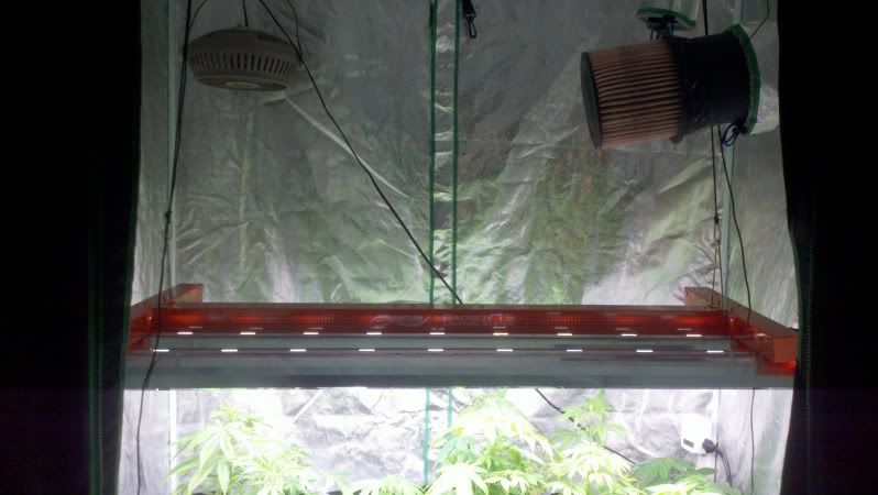 2011-05-18_23-42-02_174.jpg