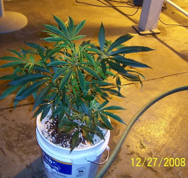 100_0729.jpg