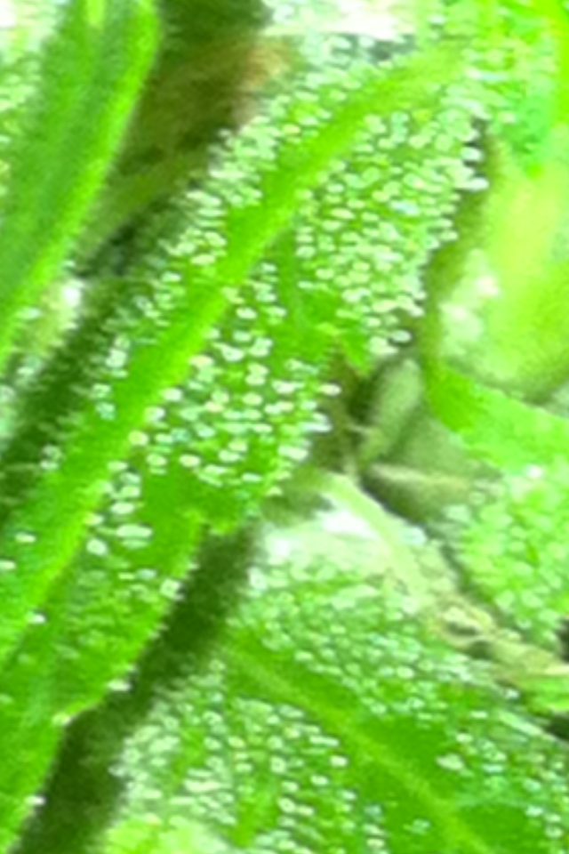IMG_0745.png