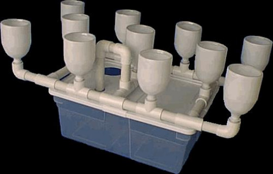 diyhydroponic.jpg