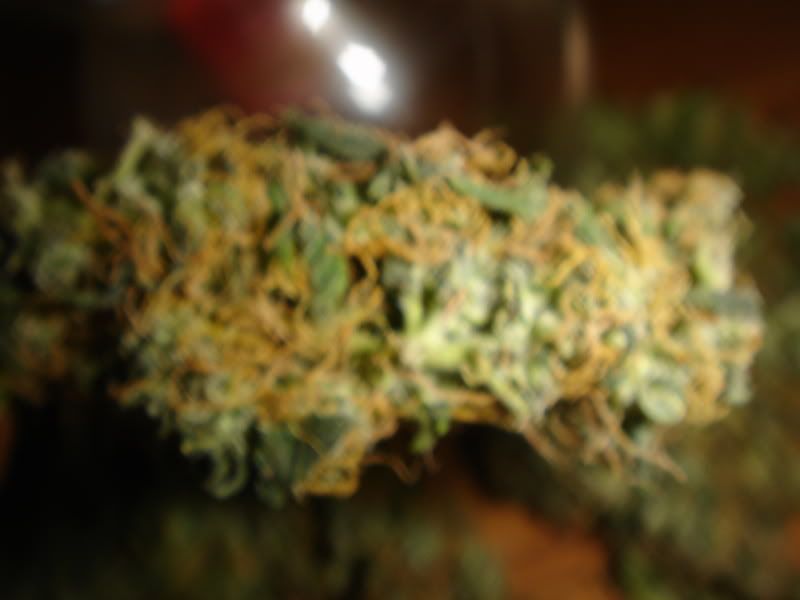 pipe003.jpg