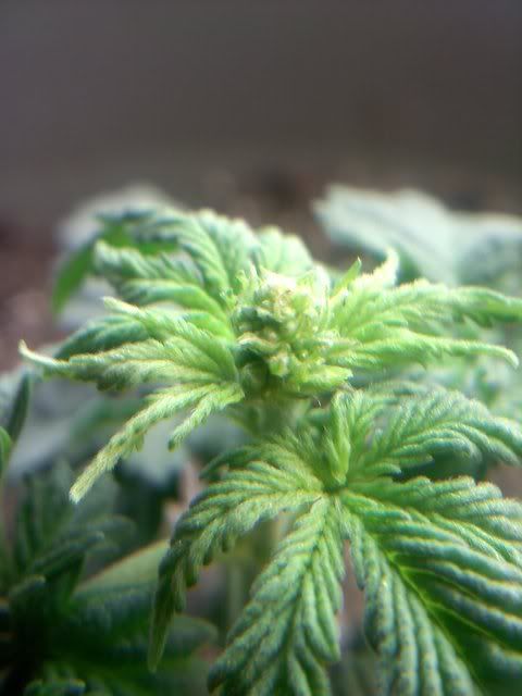 20120113213436.jpg
