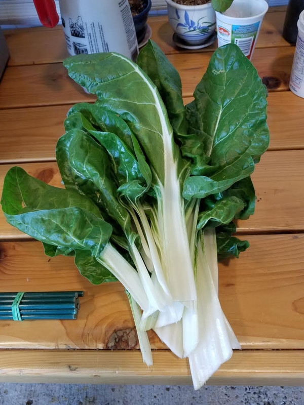 chard.jpg