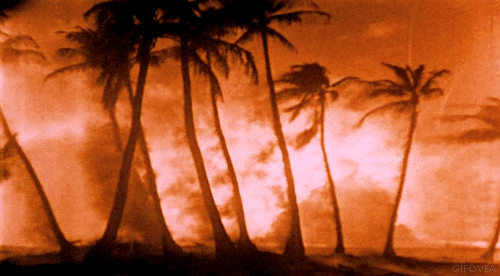 f42ece9659cc611ee3da6b89b8871cc1.gif