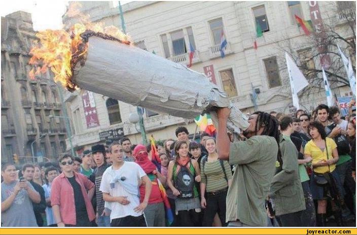 auto-weed-smoking-345779.jpeg