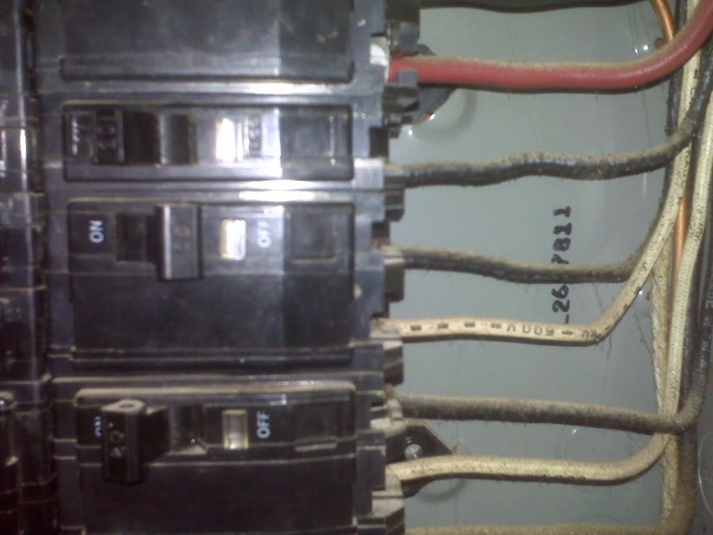 IMG01612.jpg