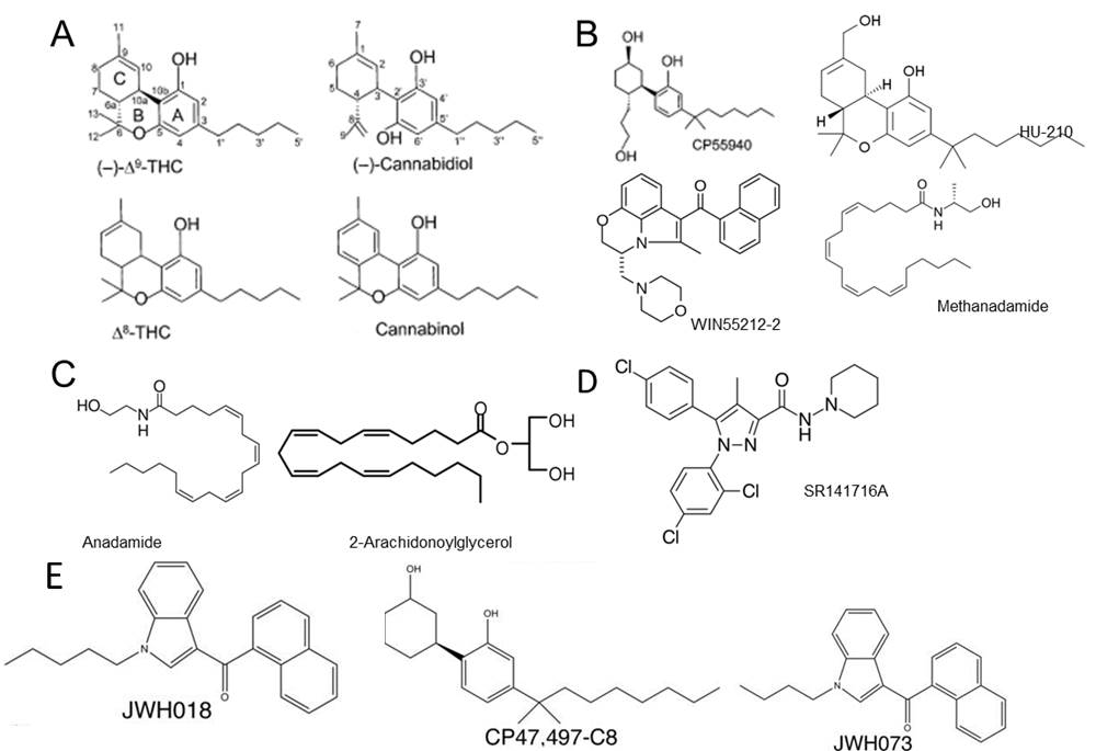 cannabinoids_0.jpg
