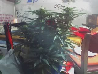 08-16-07_2244.jpg