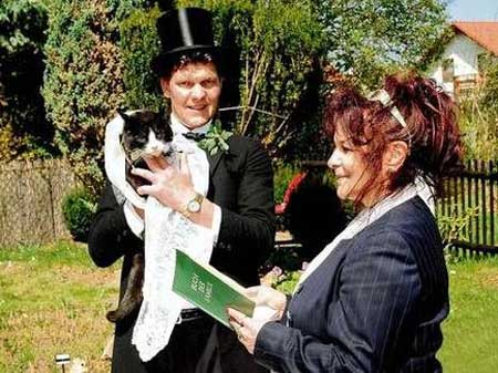 Man+marries+cat.jpg