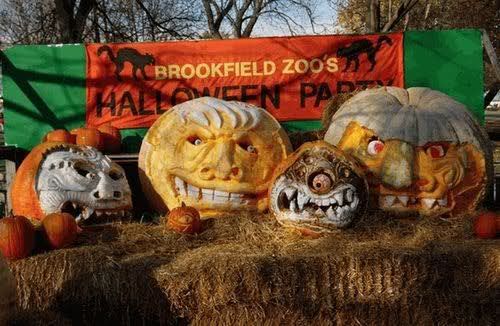 pumpk8.jpg
