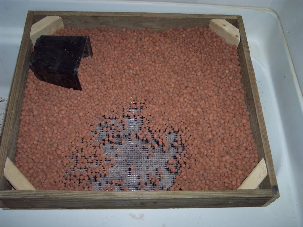 100_6856.jpg