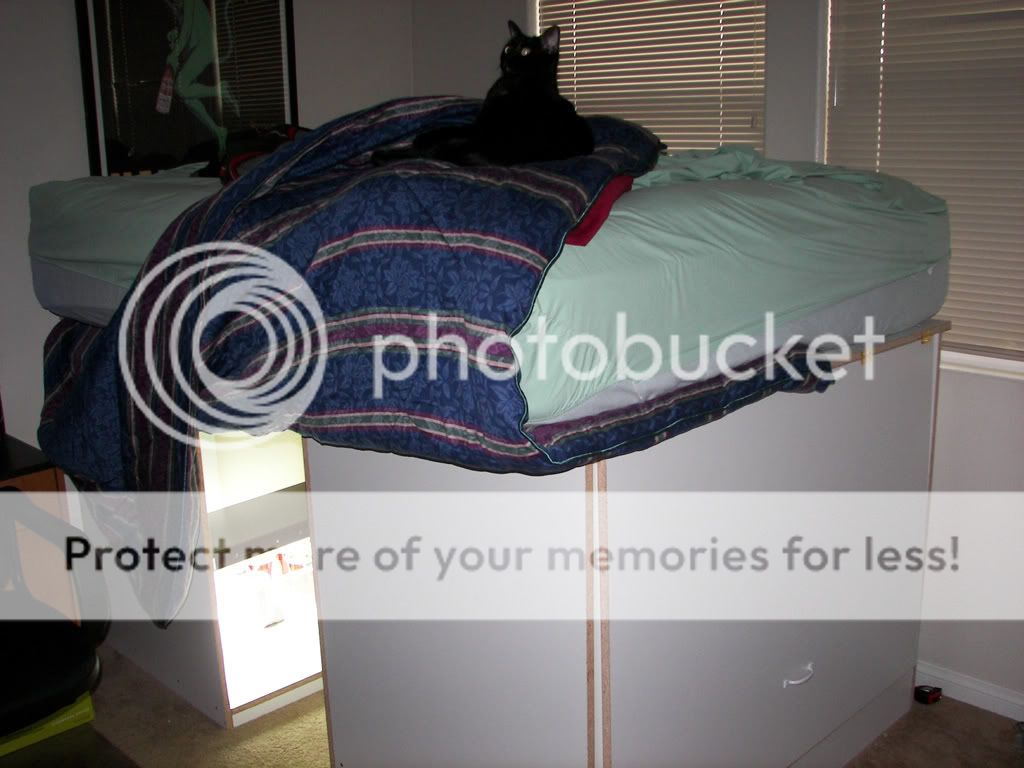 100_1825.jpg