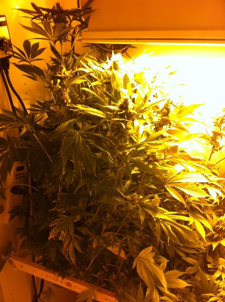 e469fda9.jpg