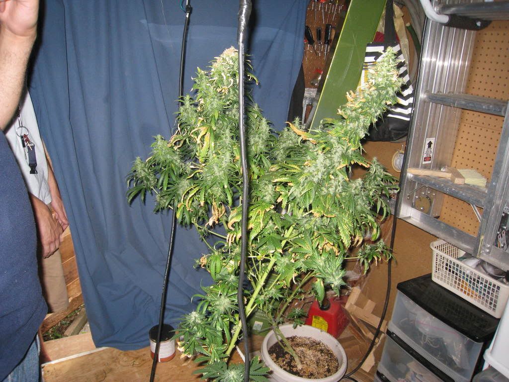 IMG_0210.jpg