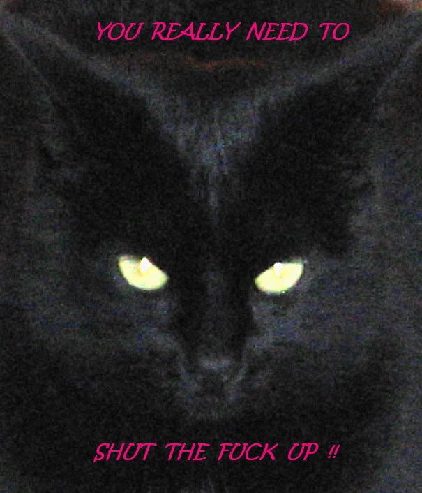 SHUTUP-1.jpg