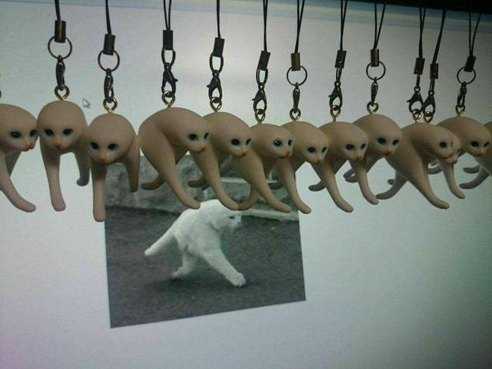 wtf_photos_06.jpg