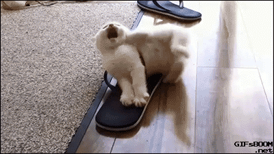 gifs_24.gif